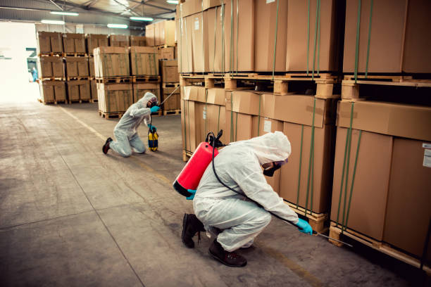 Best Pest Control Near Me in Meadow Oaks, FL