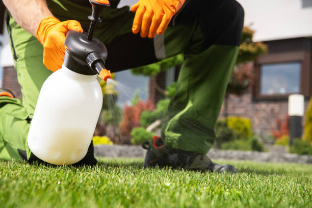Best Rodent Control Near Me  in Meadow Oaks, FL