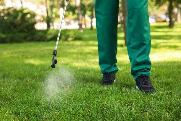 Best Pest Inspection Near Me  in Meadow Oaks, FL