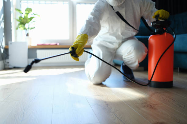 Best Residential Pest Control  in Meadow Oaks, FL