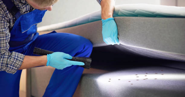 Professional Pest Control in Meadow Oaks, FL