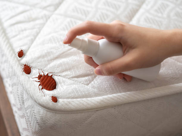Best Pest Control Treatment  in Meadow Oaks, FL