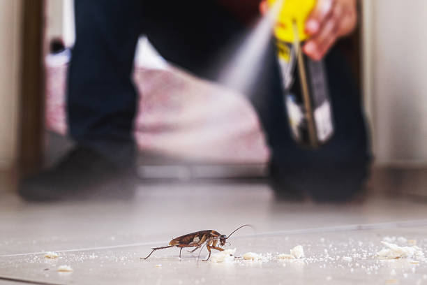 Best Pest Prevention Services  in Meadow Oaks, FL