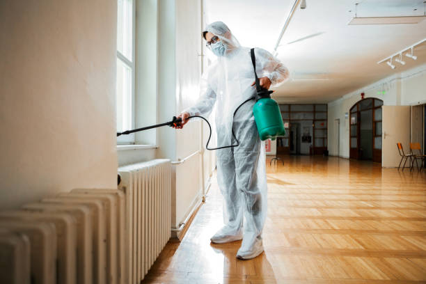 Best Bed Bug Extermination  in Meadow Oaks, FL