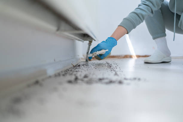 Pest Control for Restaurants in Meadow Oaks, FL